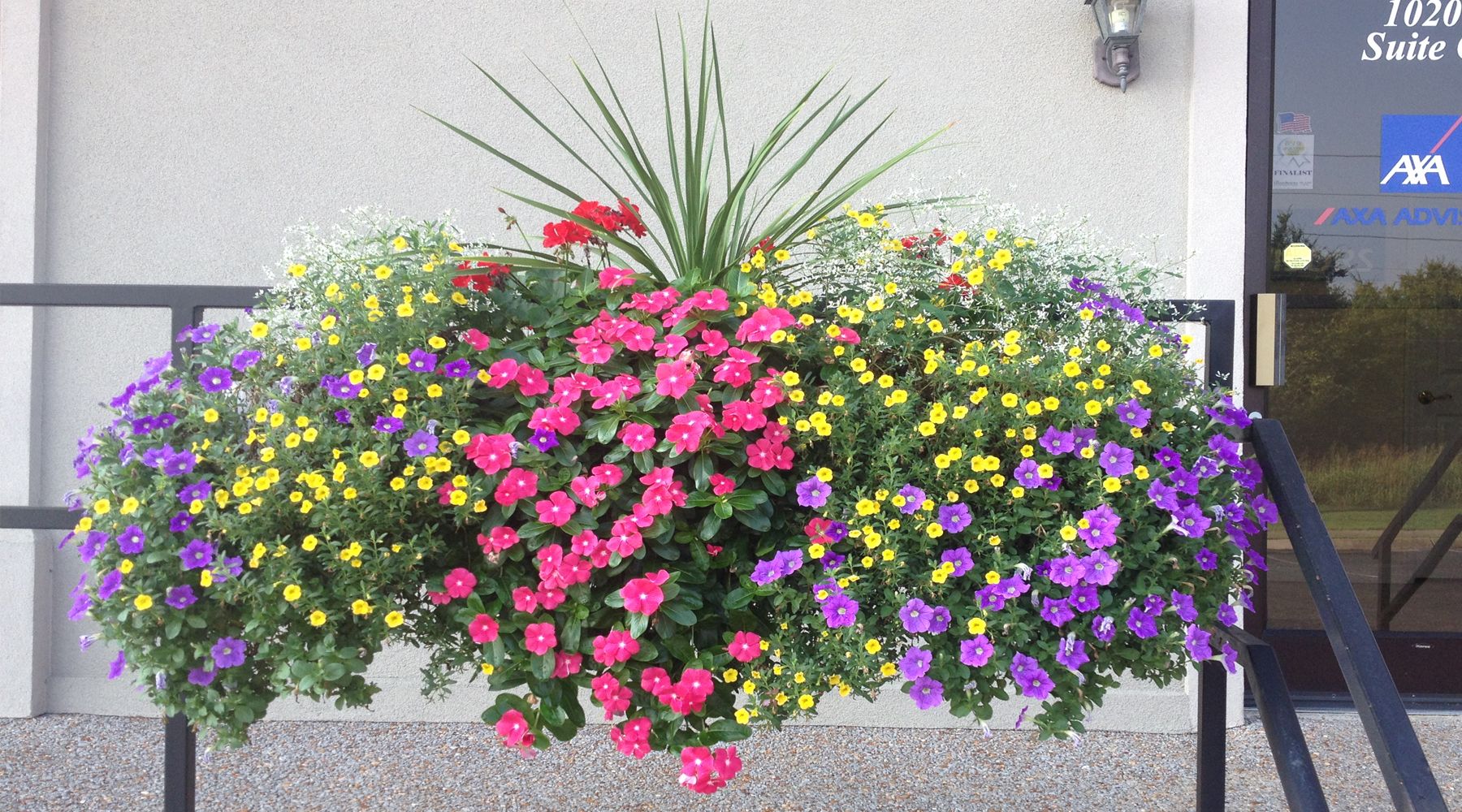 Picture of purple, yellow, and pink flowers in a planter outside an industrial office.