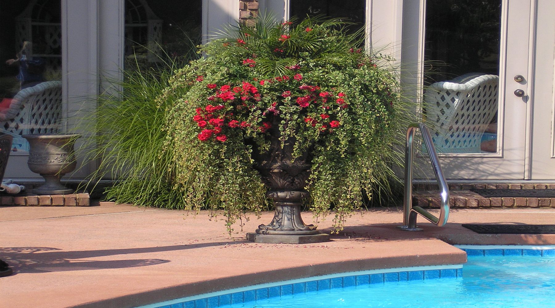 Picture of a large pool-side planter full of greenery and red flowers.