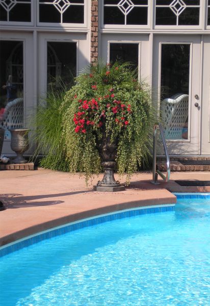 Picture of a planter full of greenery and red flowers near a swimming pool.